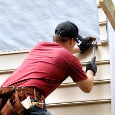 Best Vinyl Siding Installation  in Globe, AZ